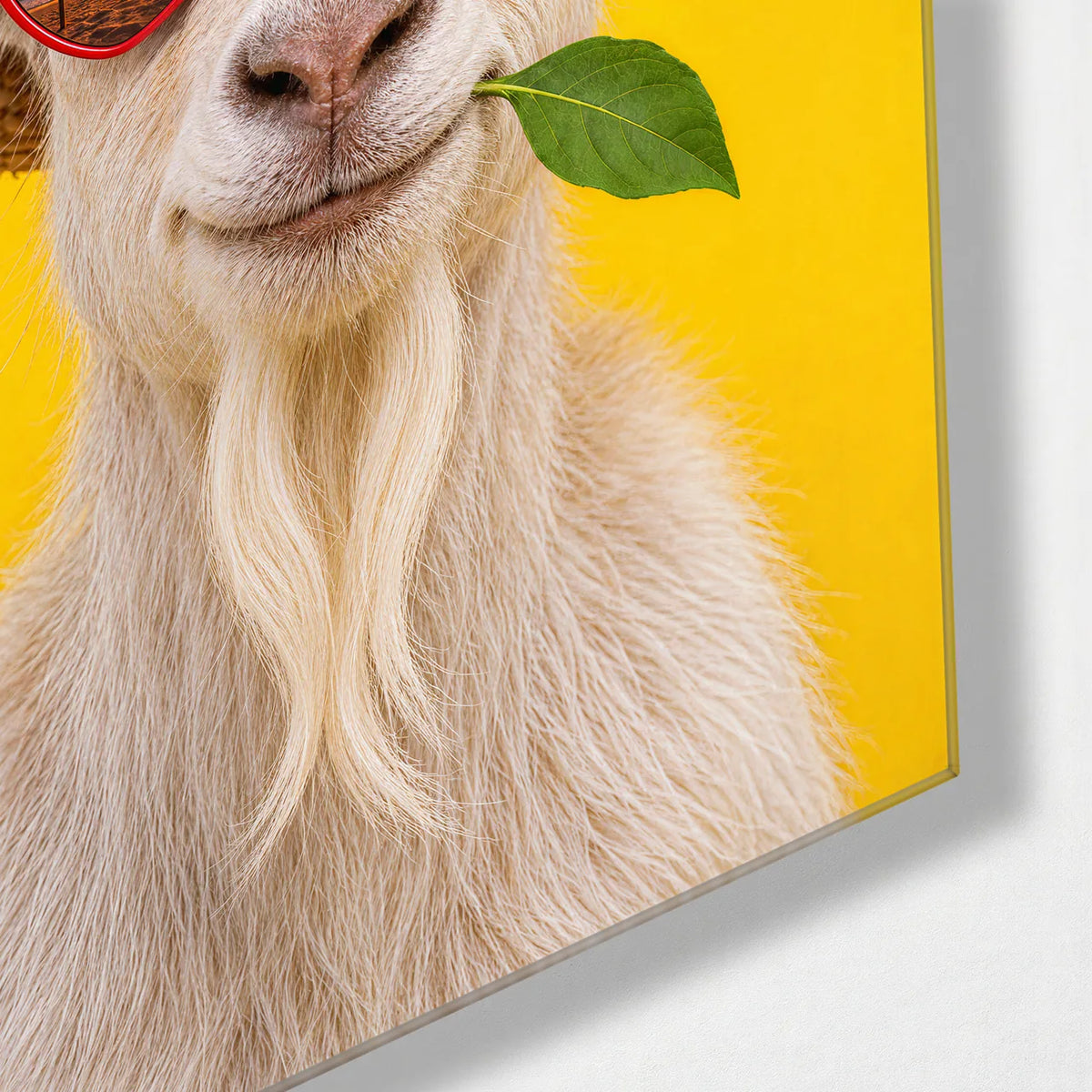 Goat on Holiday — corner detail of glass wall art