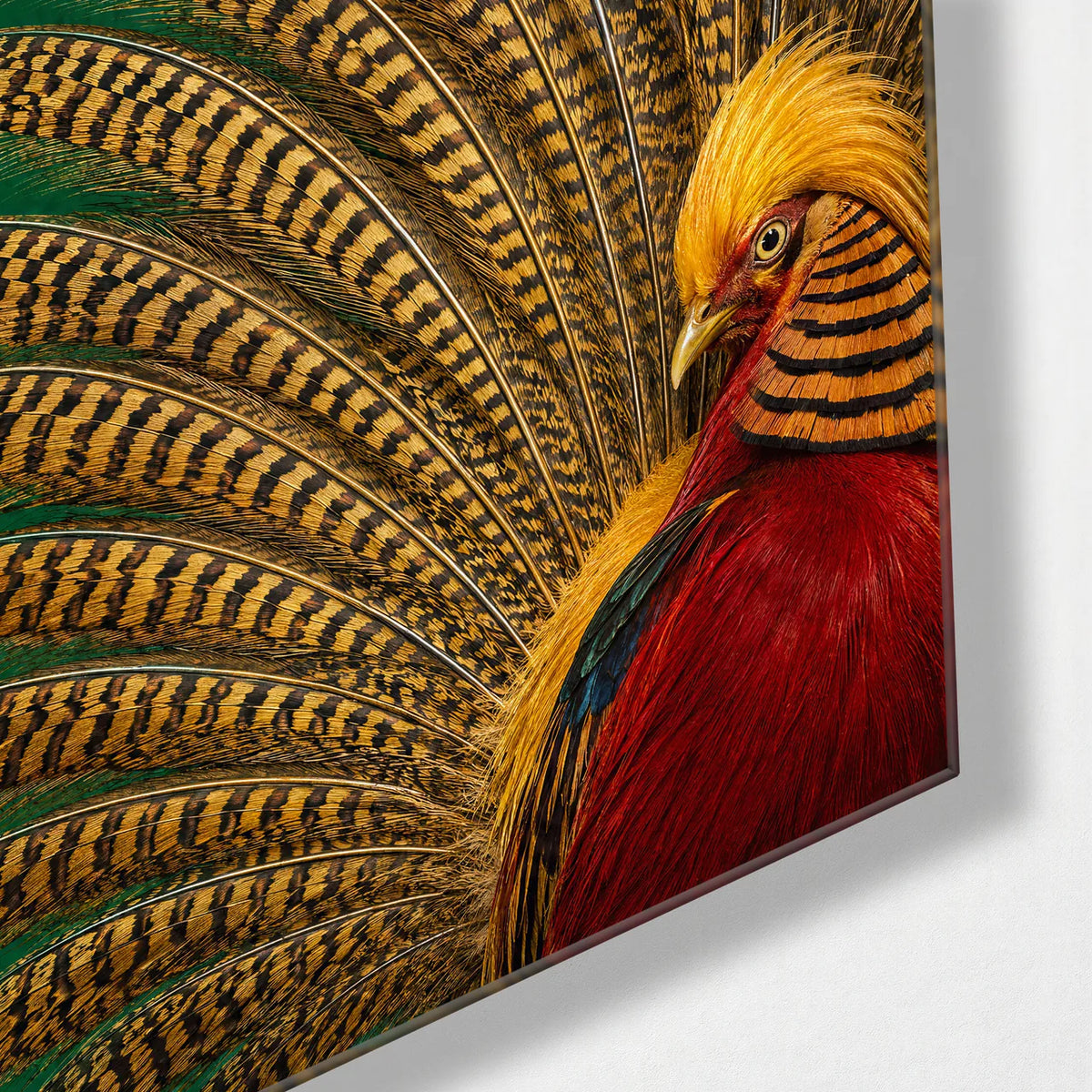 A Fan of Feathers — corner detail of glass wall art