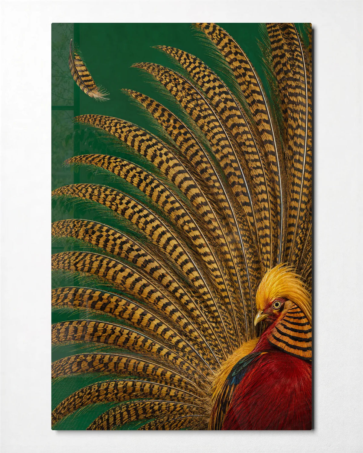 A Fan of Feathers — front view of glass wall art