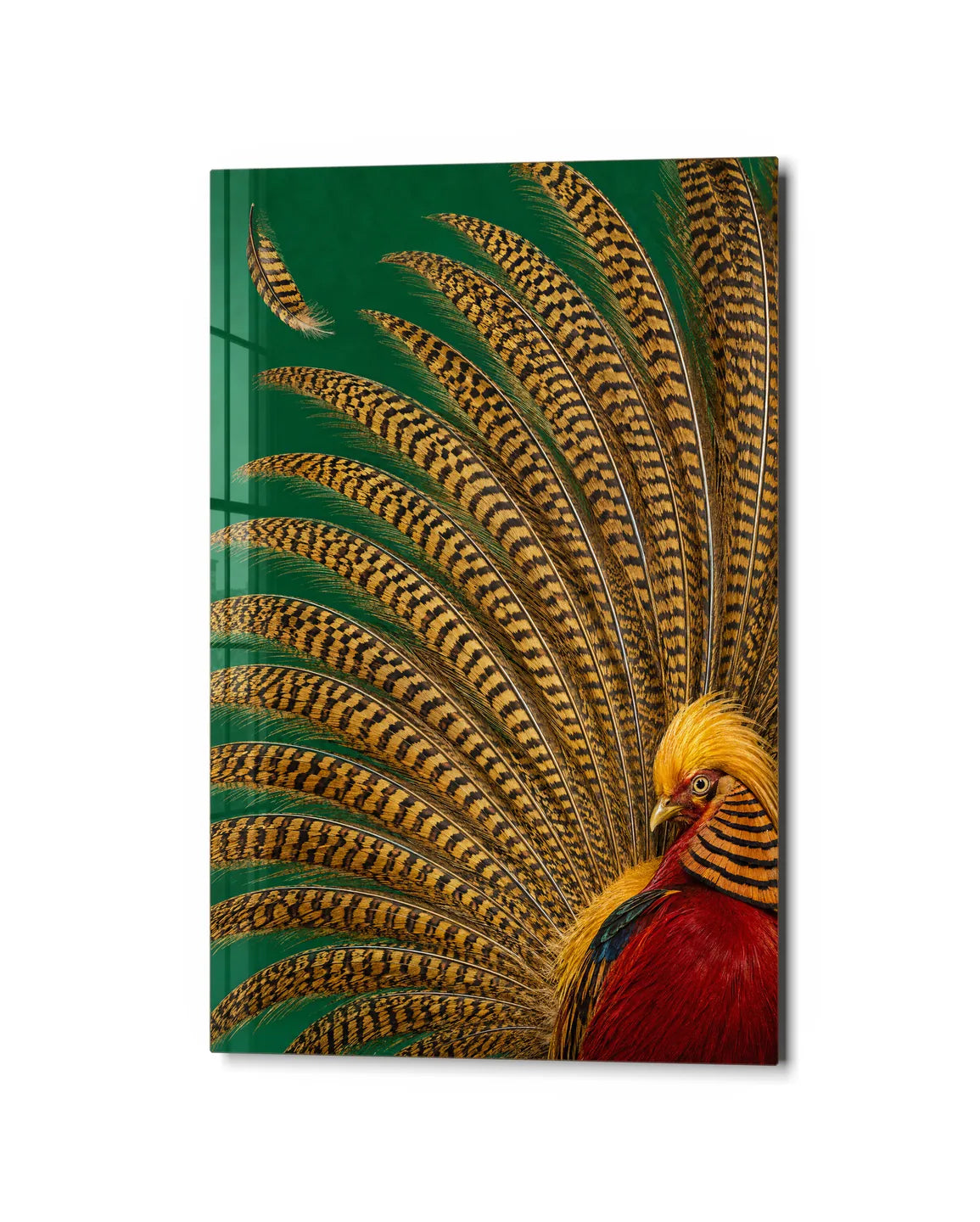 A Fan of Feathers — studio view of glass wall art