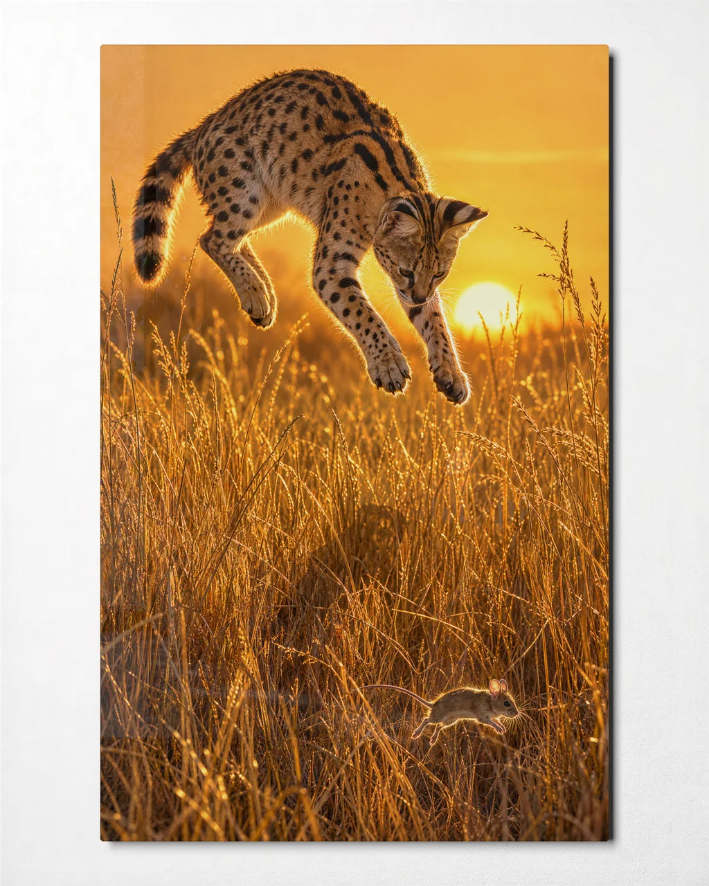 Midair in the Grass — front view of glass wall art