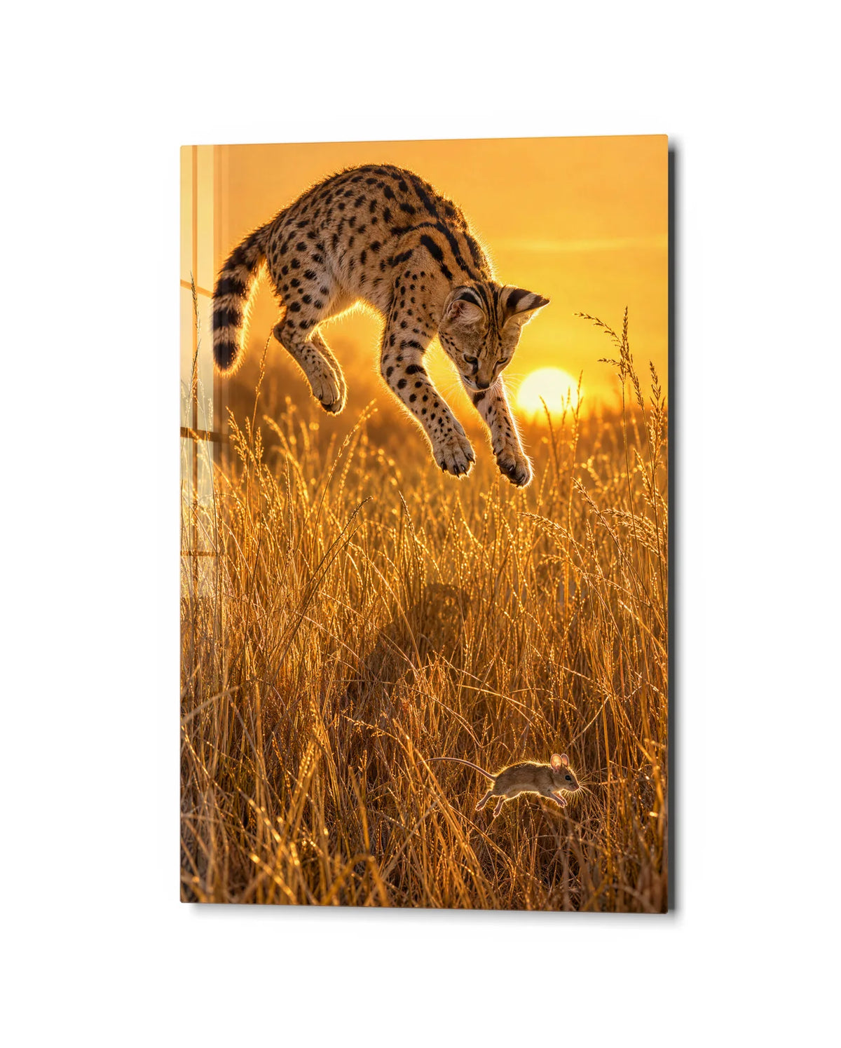 Midair in the Grass — studio view of glass wall art