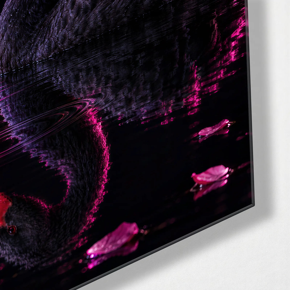Black Swan Pink Light — corner detail of glass wall art