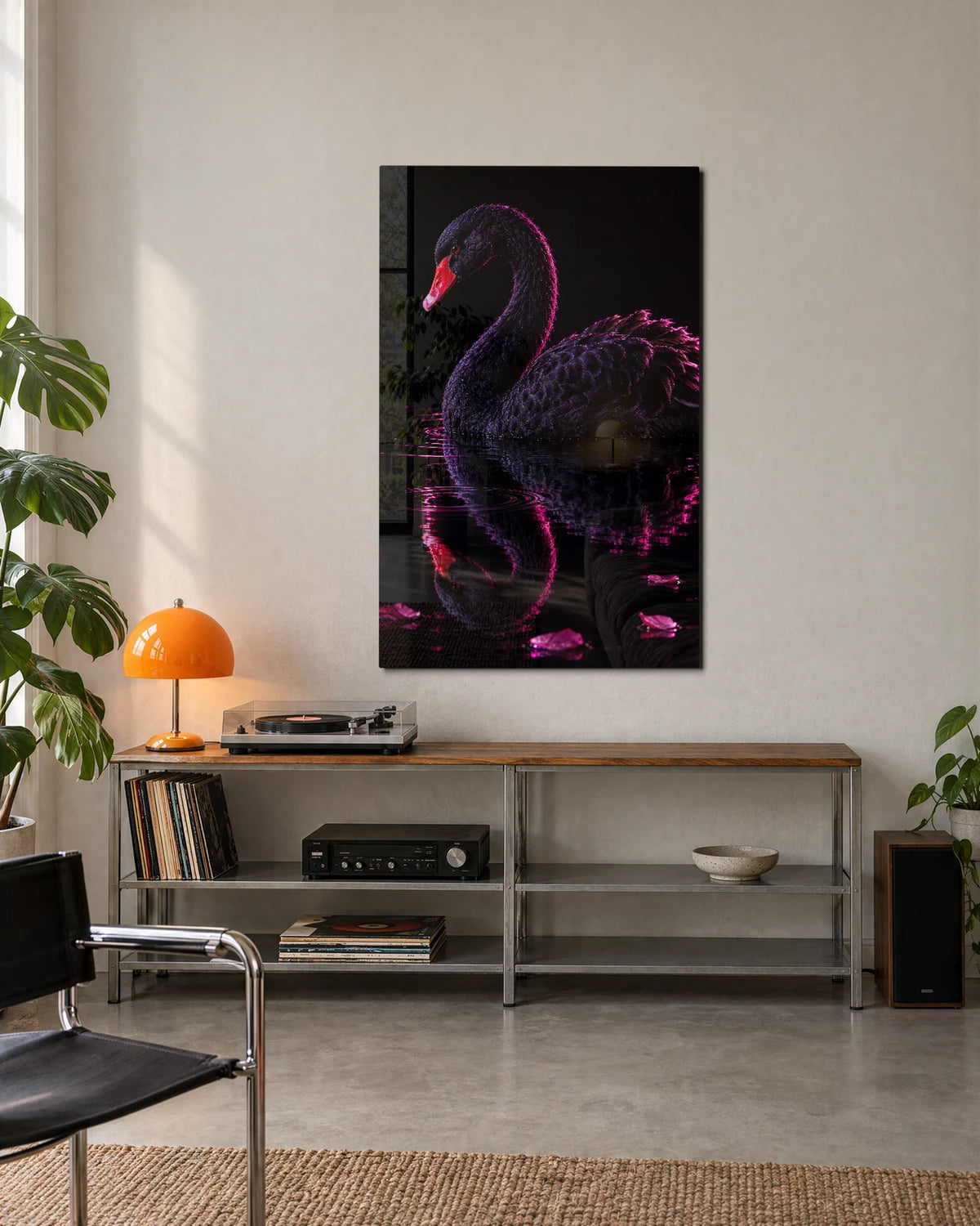 Black Swan Pink Light — shown in a living space