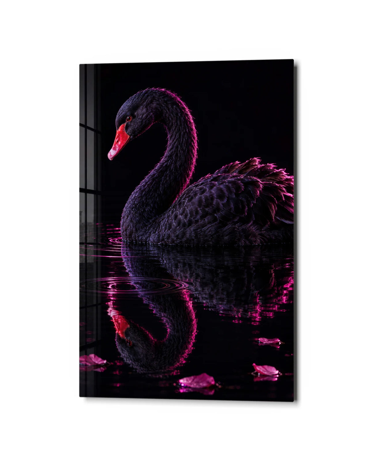 Black Swan Pink Light — studio view of glass wall art