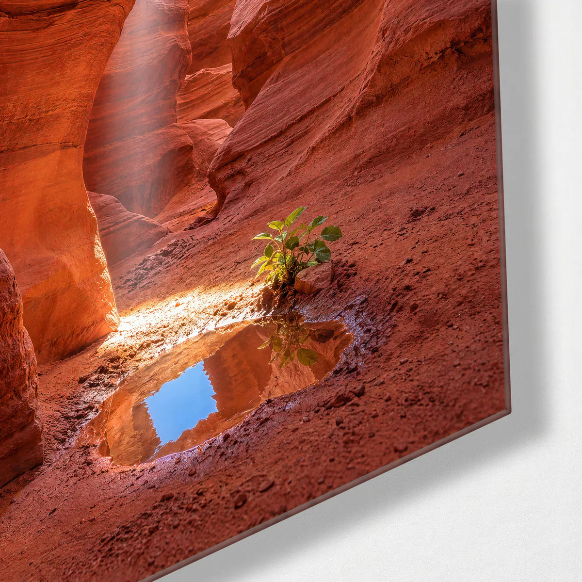 A Pool of Canyon Light — corner detail of glass wall art