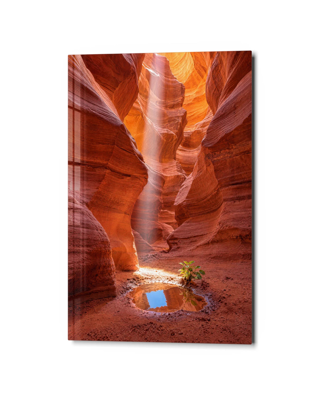 A Pool of Canyon Light — studio view of glass wall art