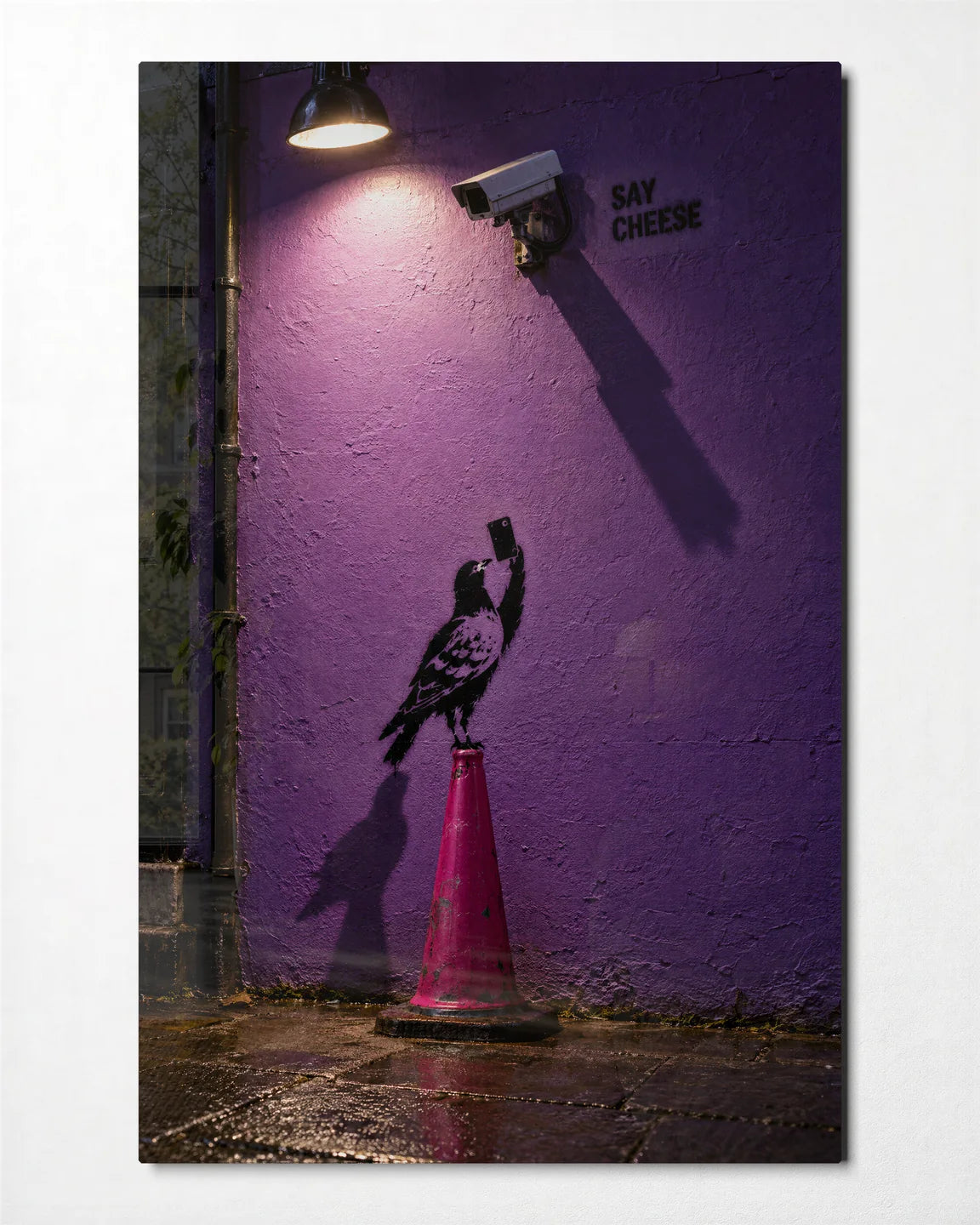 Say Cheese to the Camera — front view of glass wall art