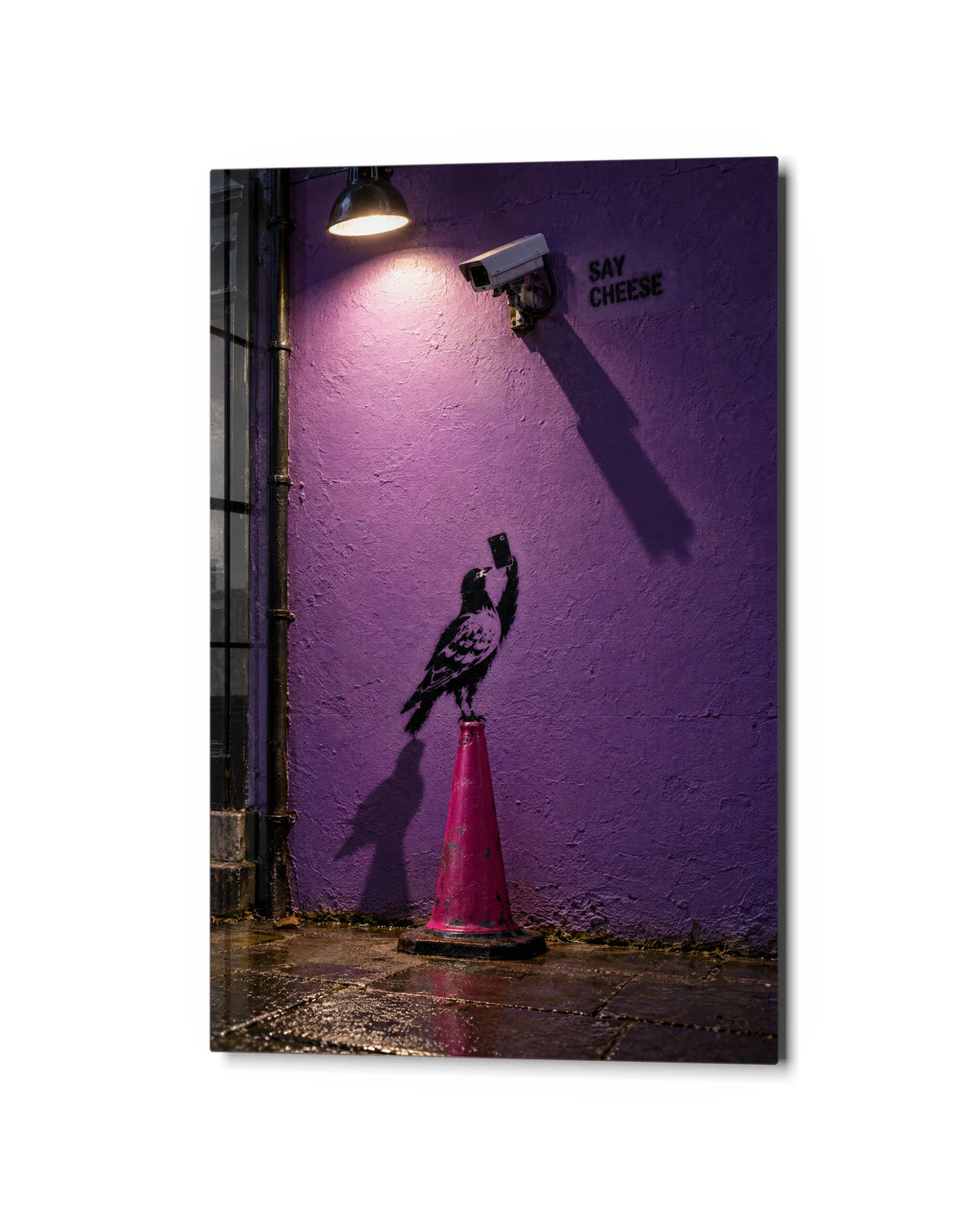 Say Cheese to the Camera — studio view of glass wall art