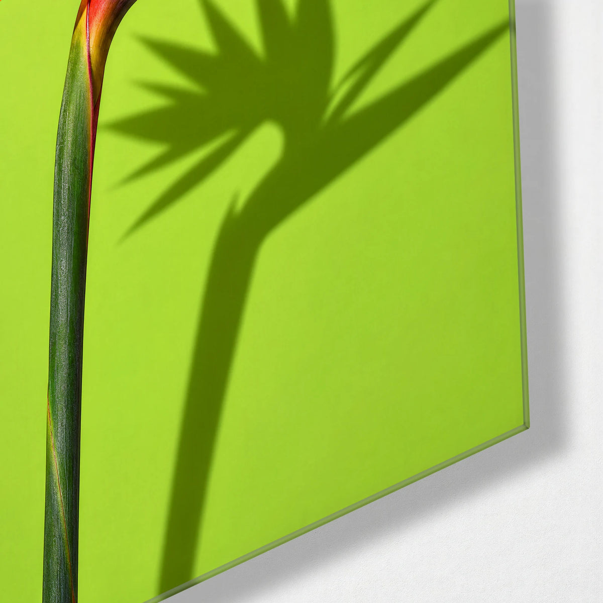 Strelitzia on Lime — corner detail of glass wall art