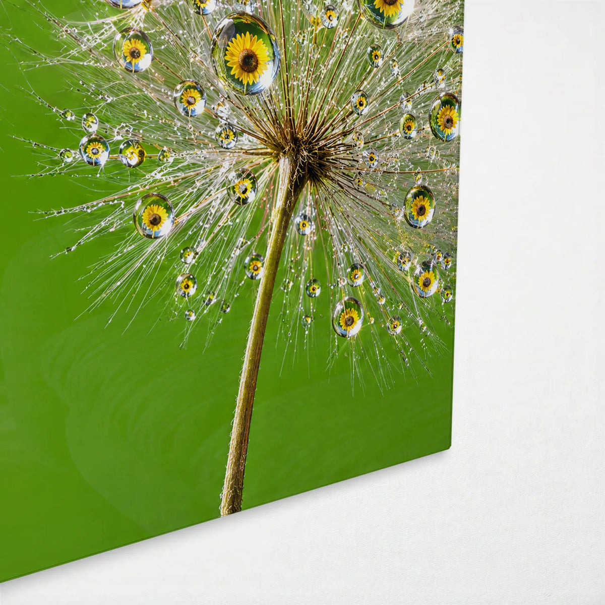 Dewdrop Seed Heads — corner detail of glass wall art