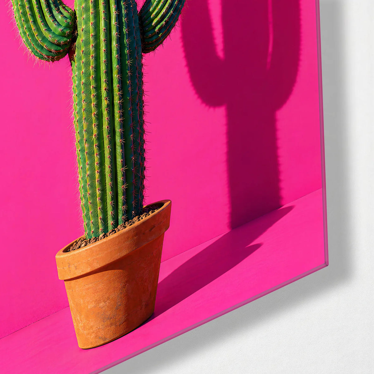 Potted Cactus Trio — corner detail of one glass panel