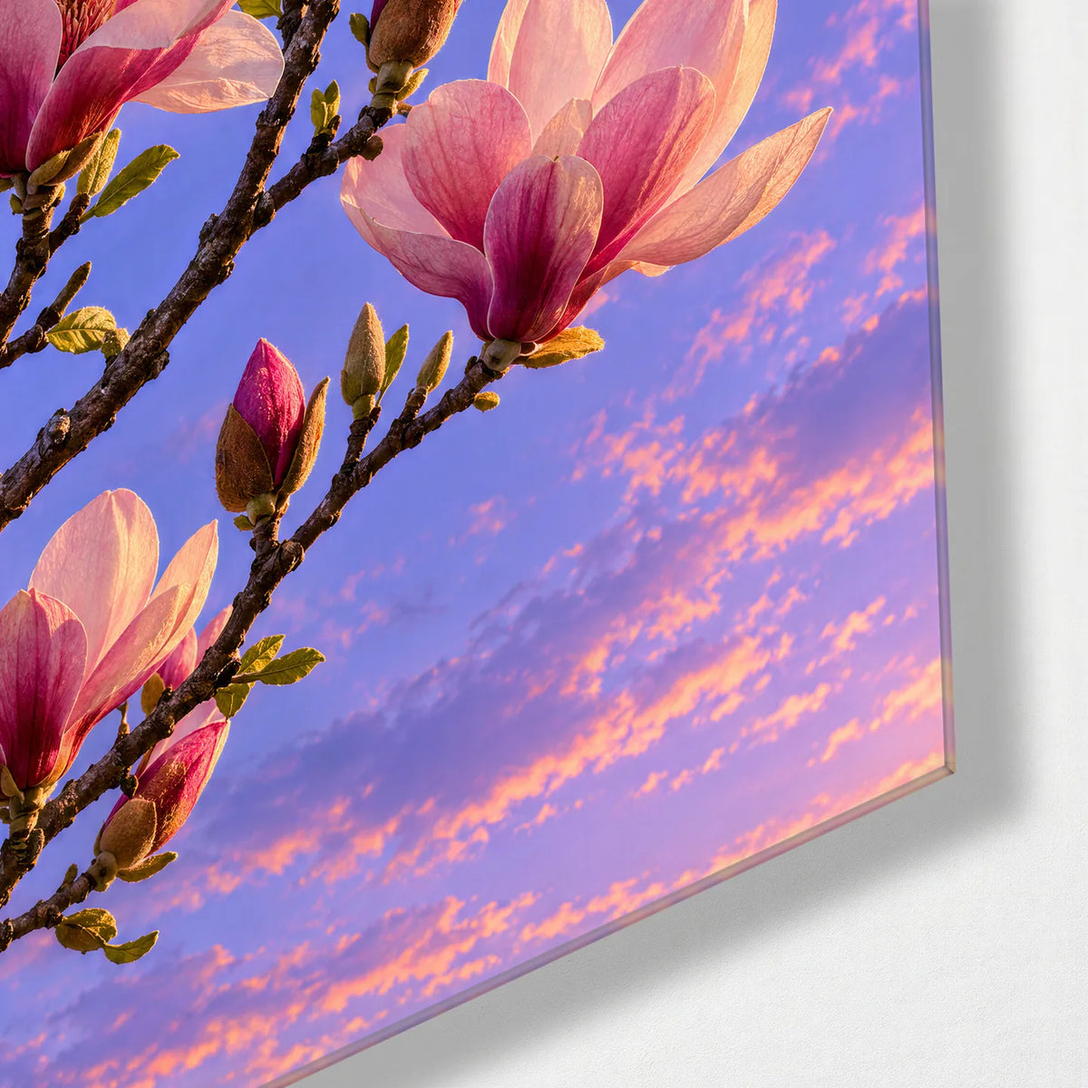 Magnolia Against the Sky — corner detail of glass wall art