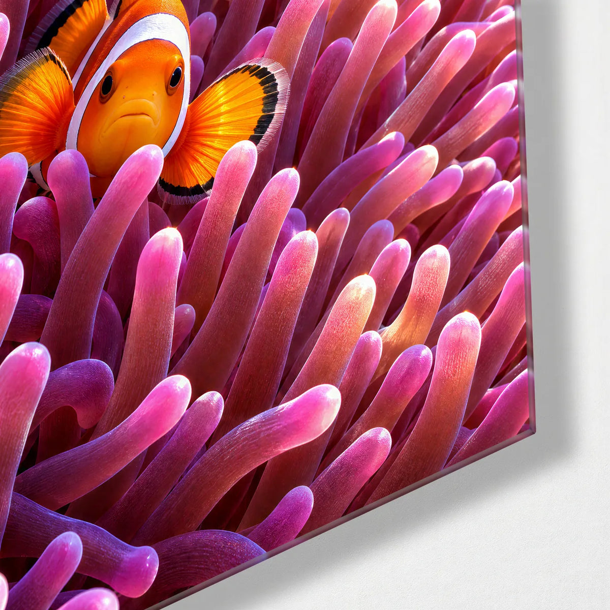 Clownfish Home — corner detail of glass wall art