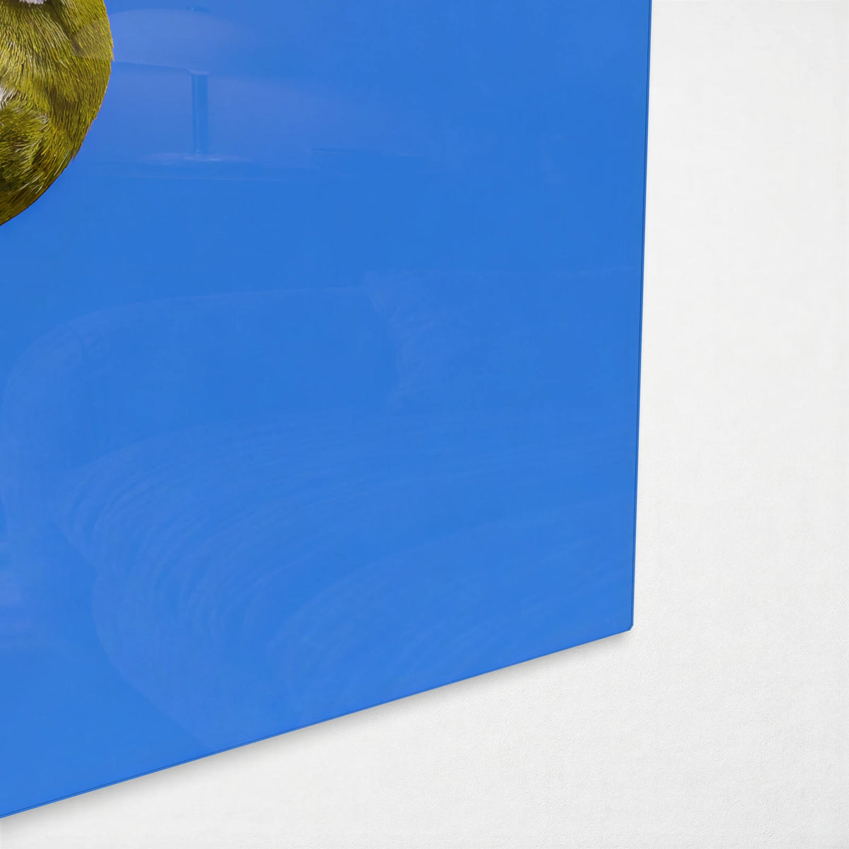 White-Eye in Blossom — corner detail of glass wall art