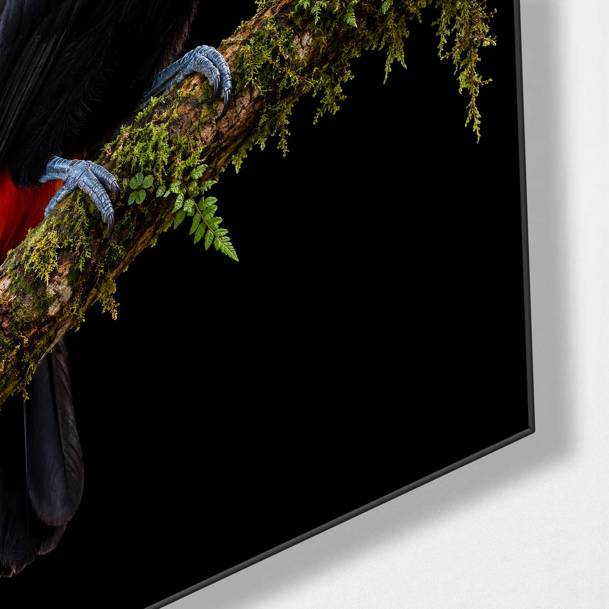 Toucan on Black — corner detail of glass wall art
