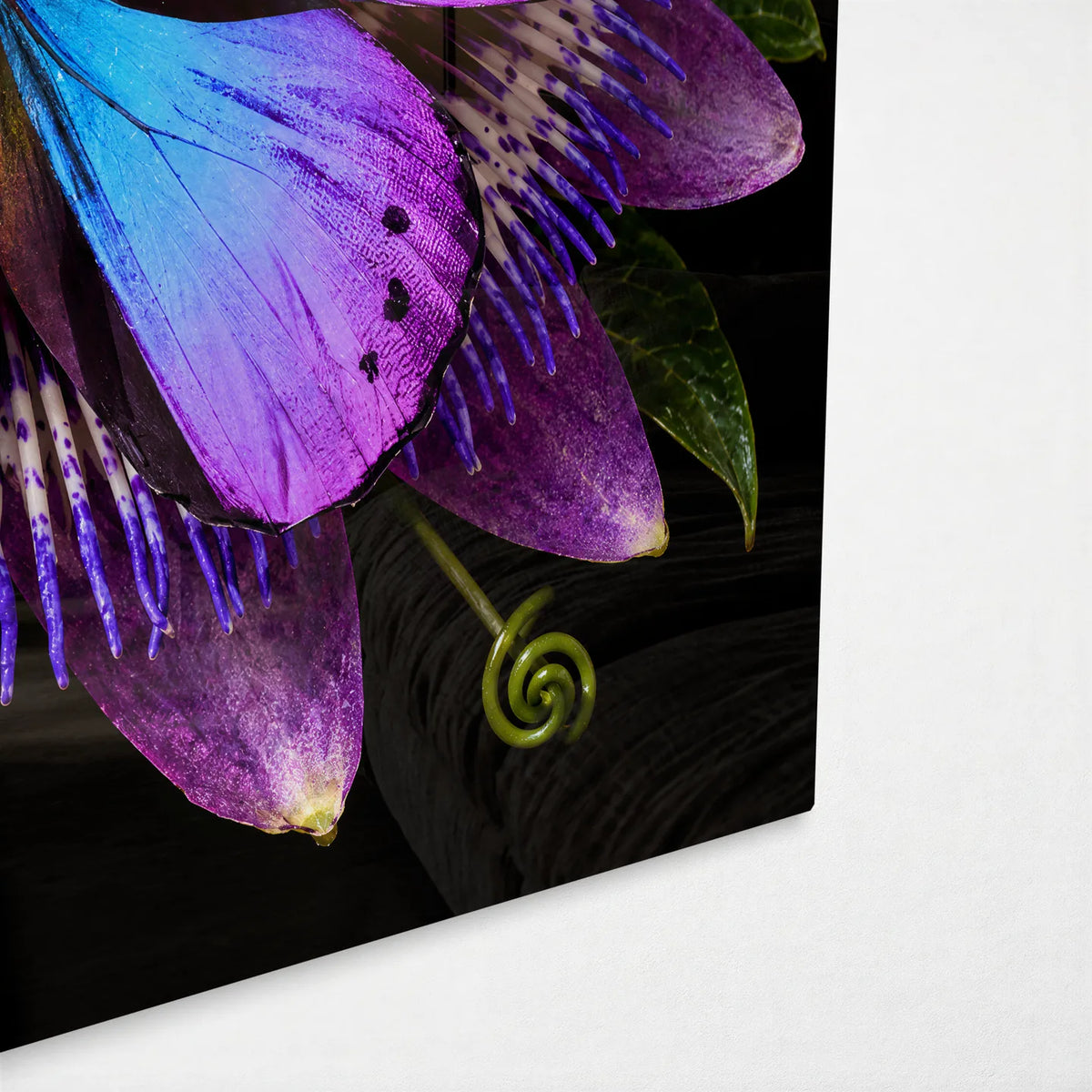 Morpho on Passionflower — corner detail of glass wall art