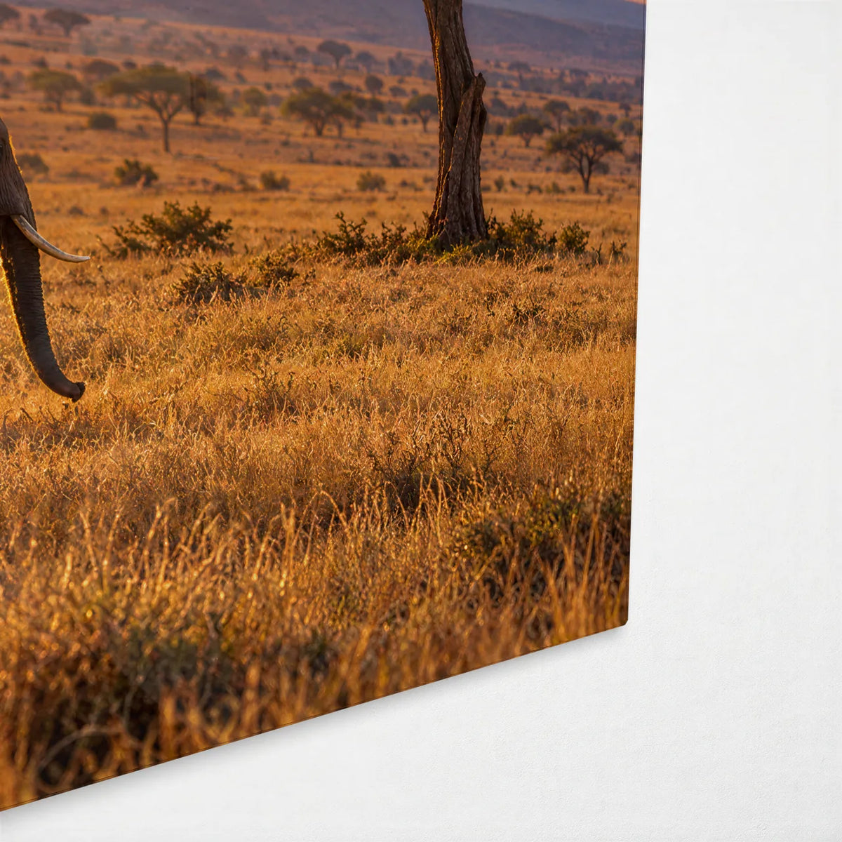 Elephants at Golden Hour — corner detail of glass wall art