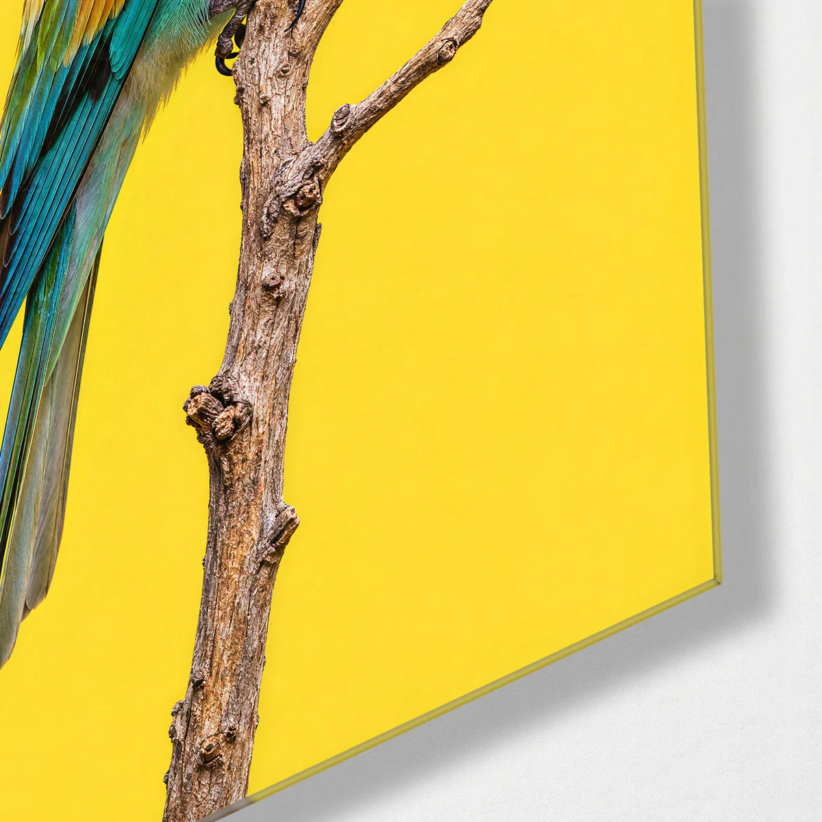 Perched Birds Trio — corner detail of one glass panel
