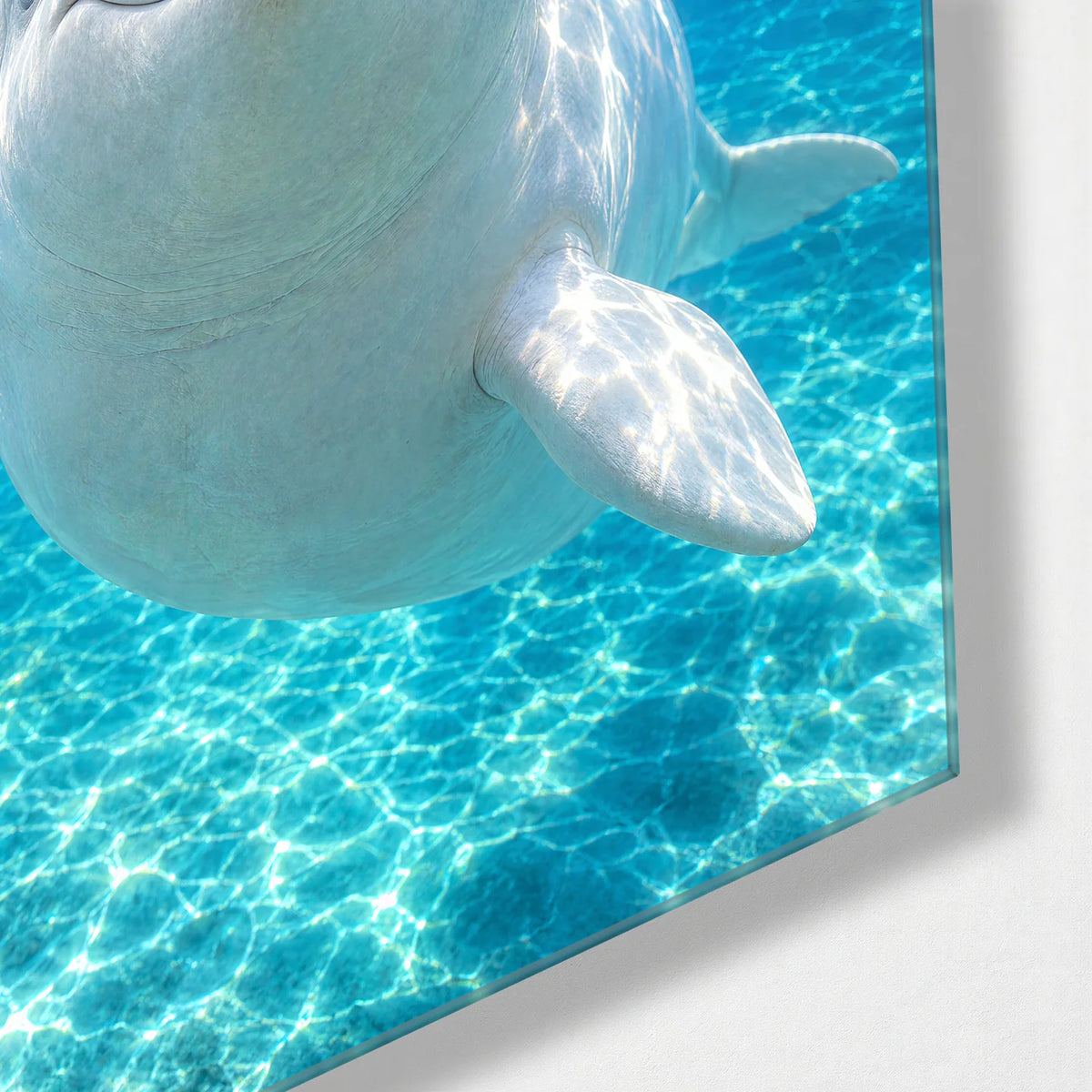 Beluga Smile — corner detail of glass wall art