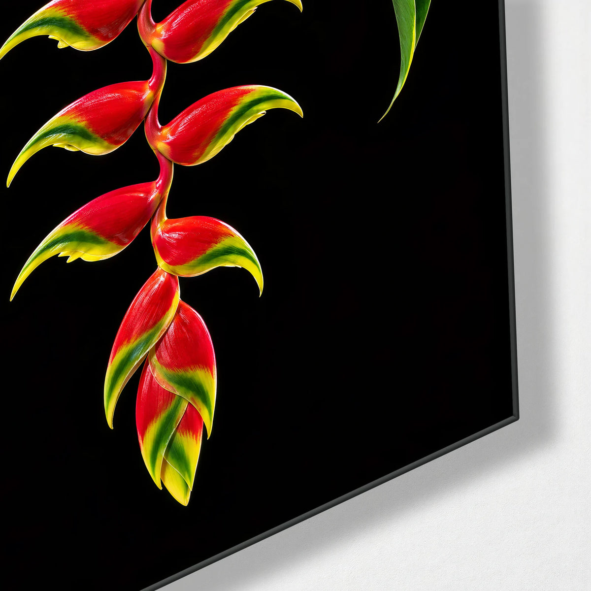 Heliconia on Black — corner detail of glass wall art