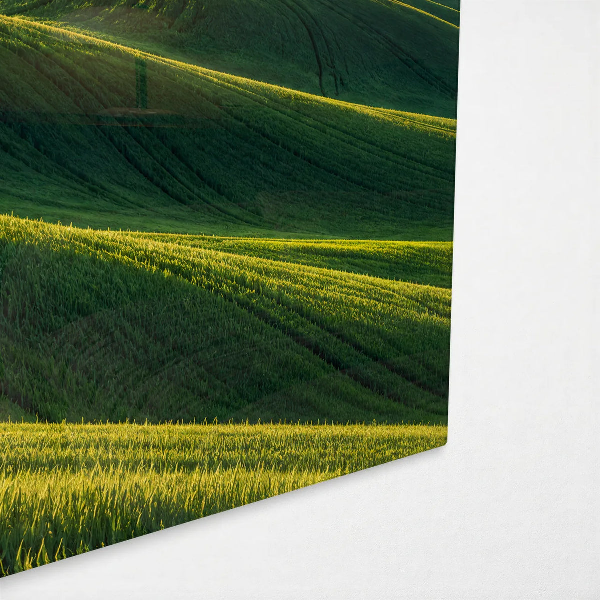 Palouse Hills — corner detail of glass wall art