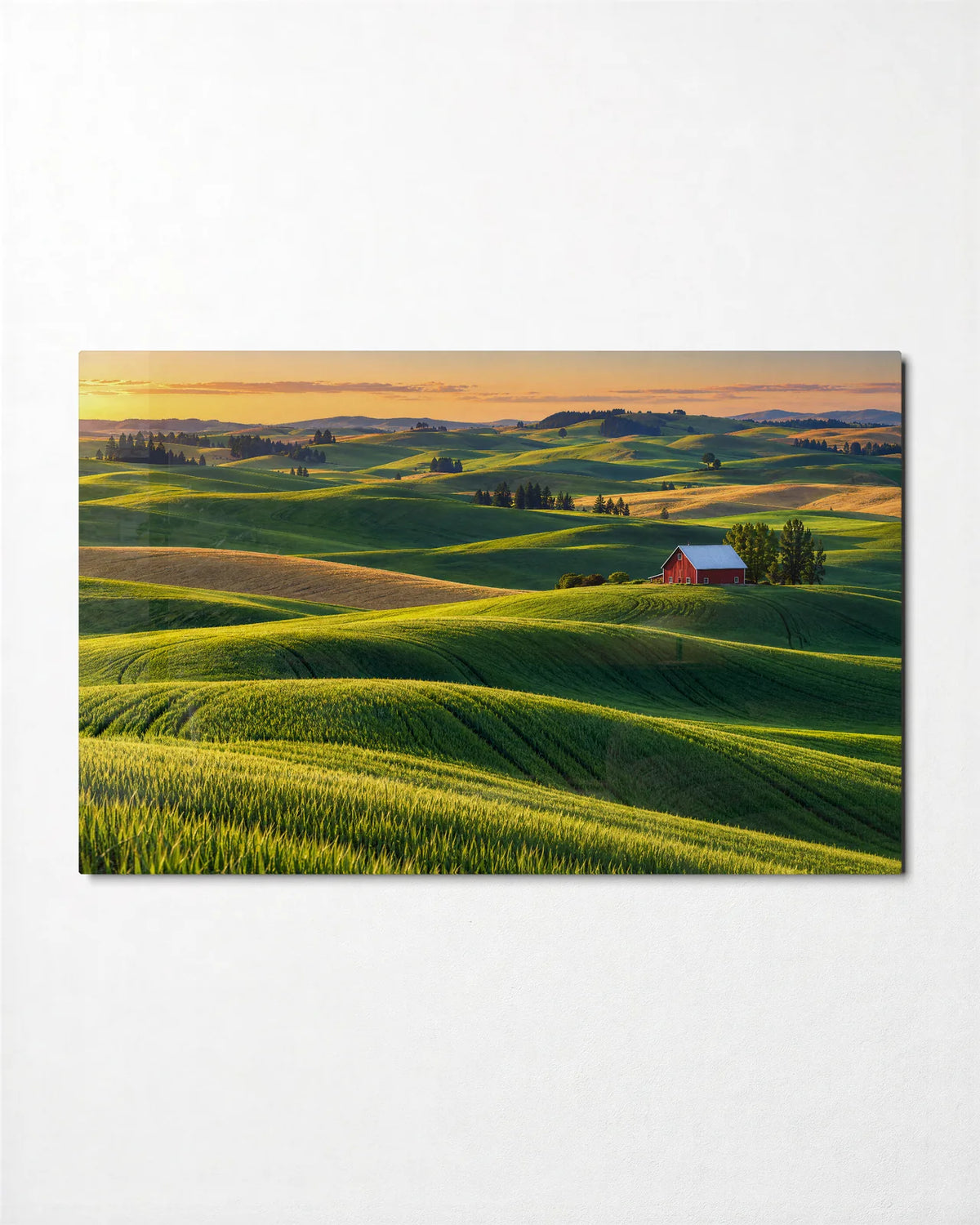 Palouse Hills — front view of glass wall art