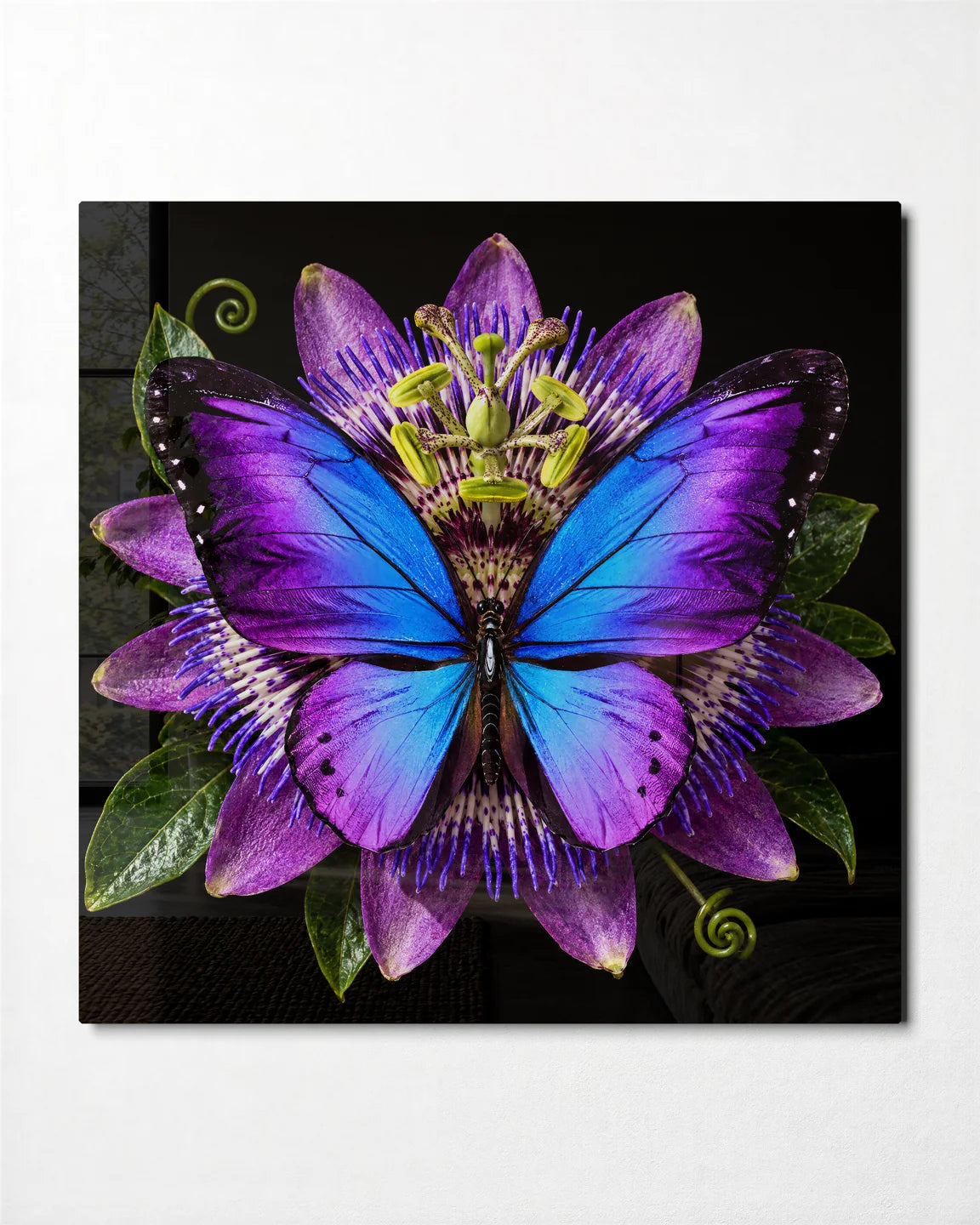 Morpho on Passionflower — front view of glass wall art