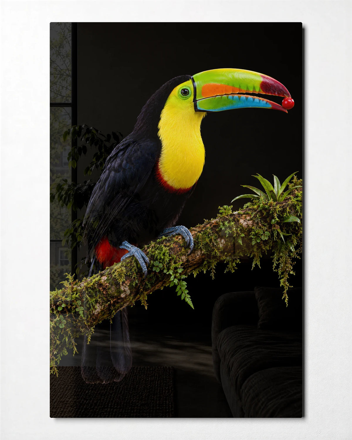 Toucan on Black — front view of glass wall art