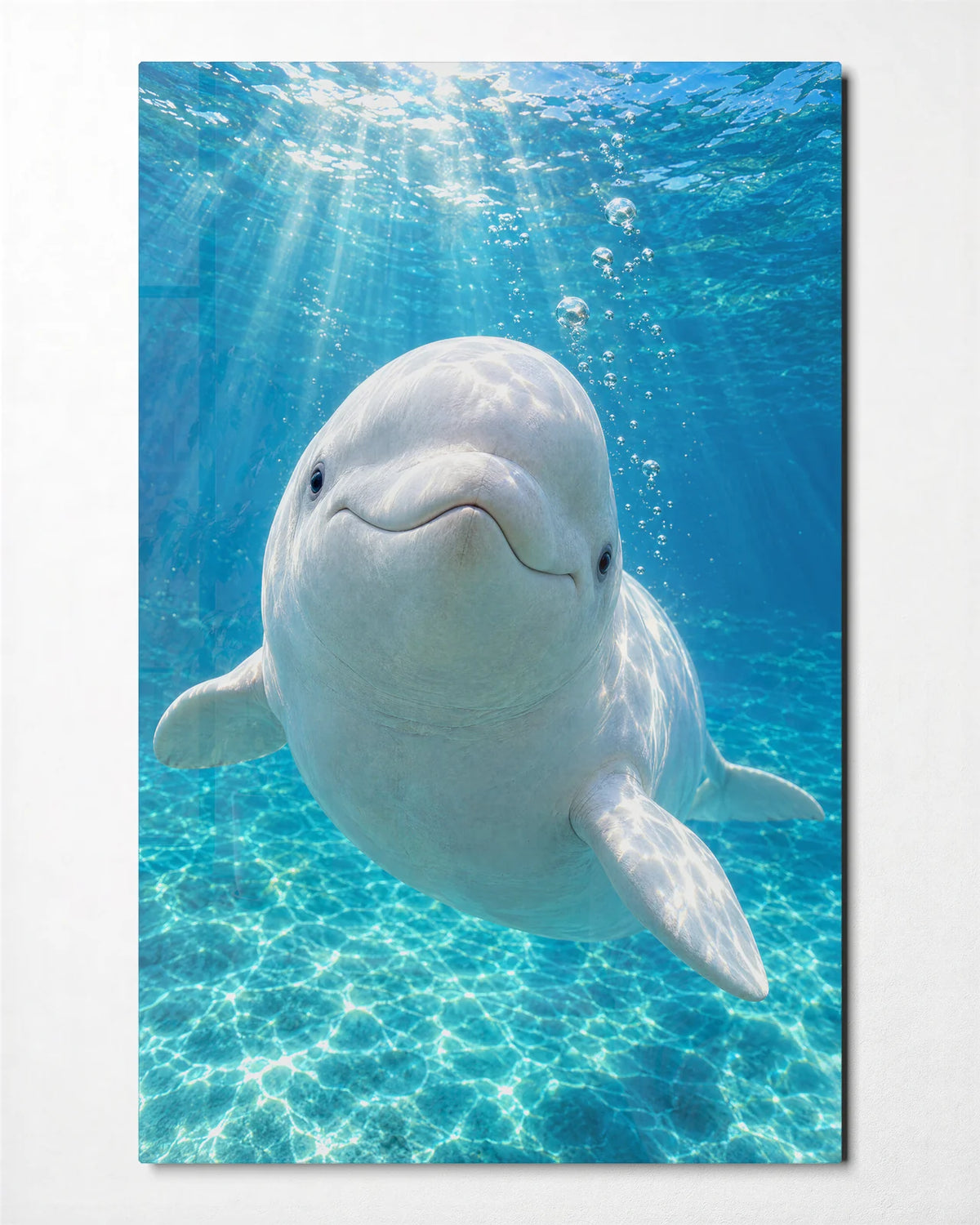 Beluga Smile — front view of glass wall art