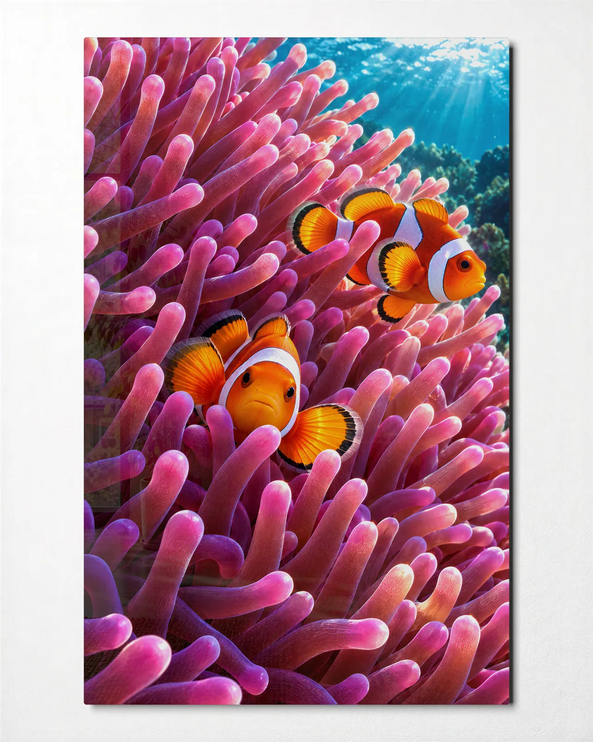 Clownfish Home — front view of glass wall art