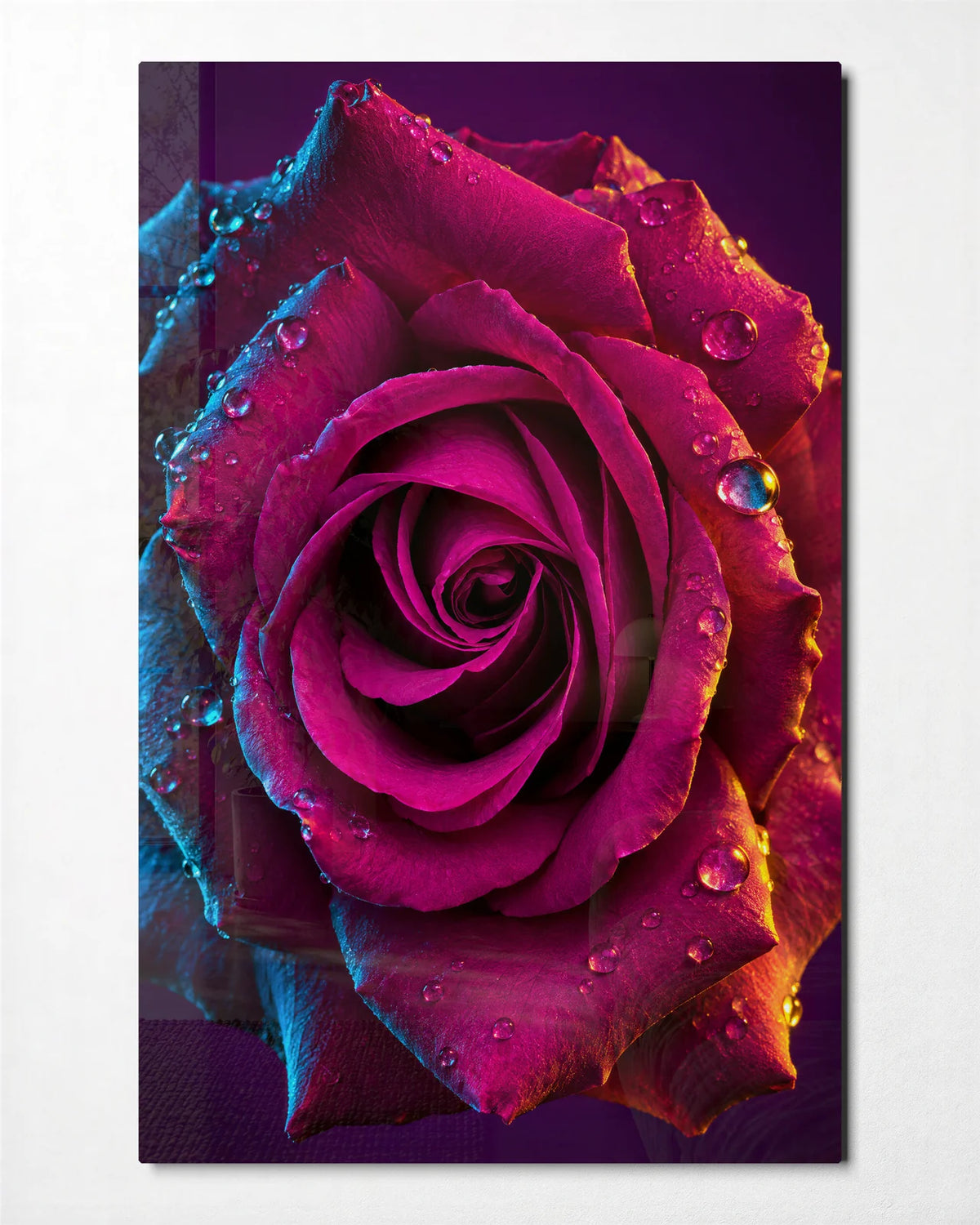 Rose in Two Lights — front view of glass wall art