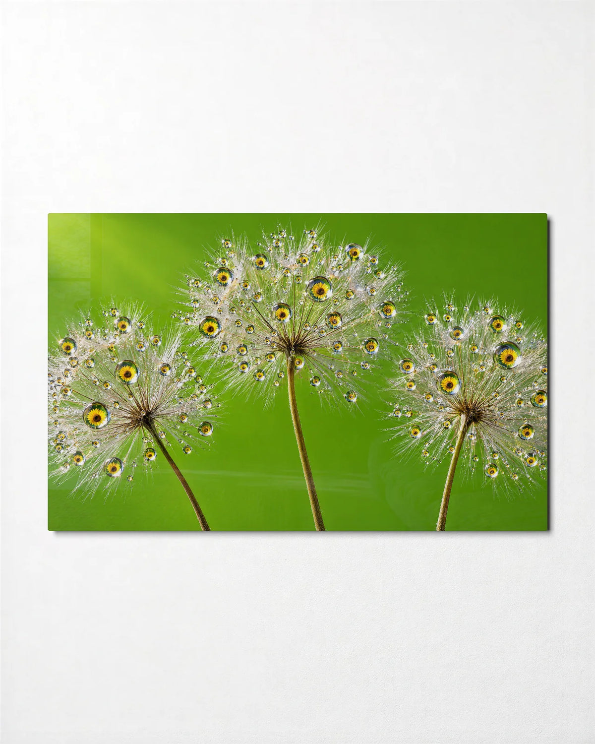 Dewdrop Seed Heads — front view of glass wall art