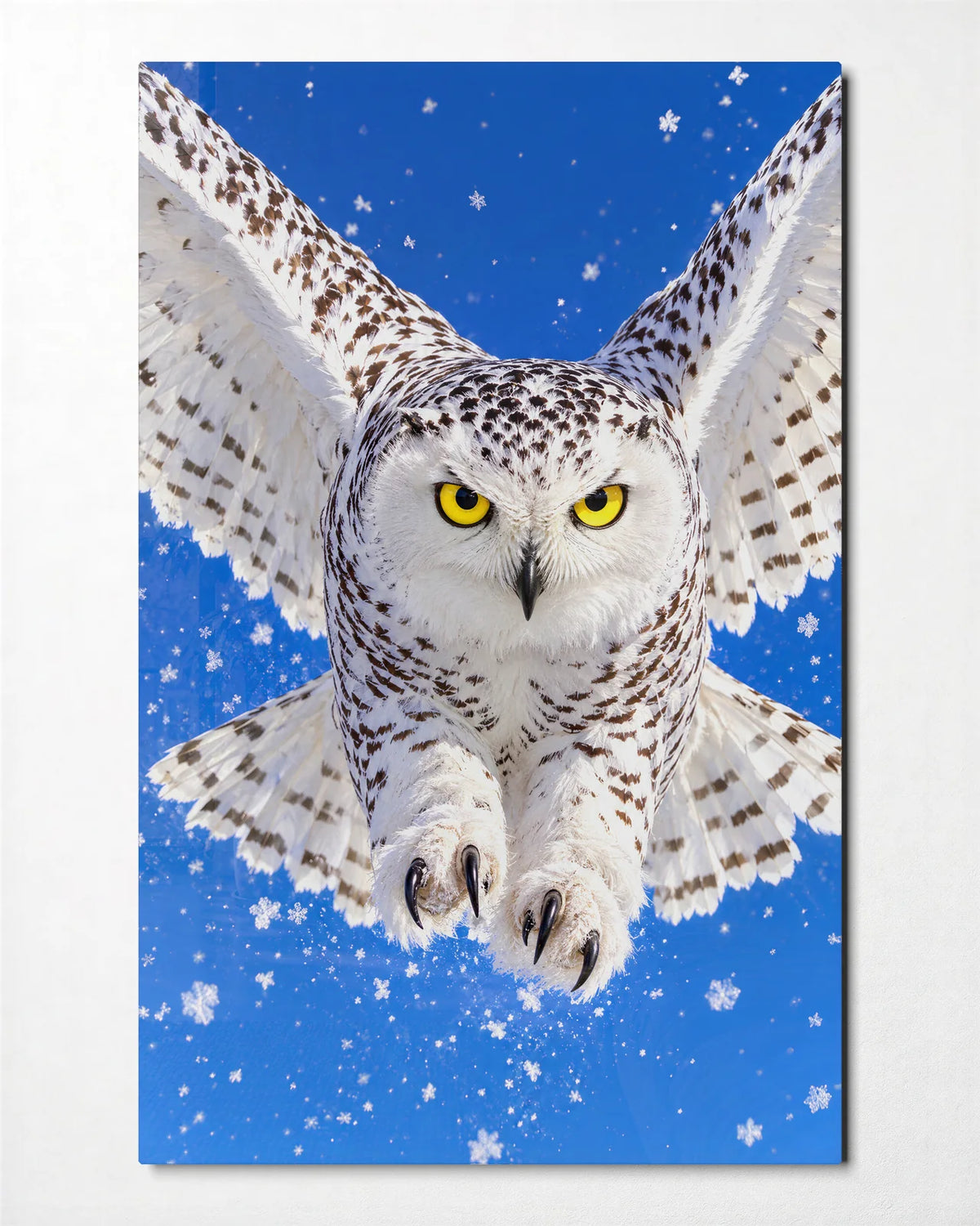 Snowy Owl in Flight — front view of glass wall art