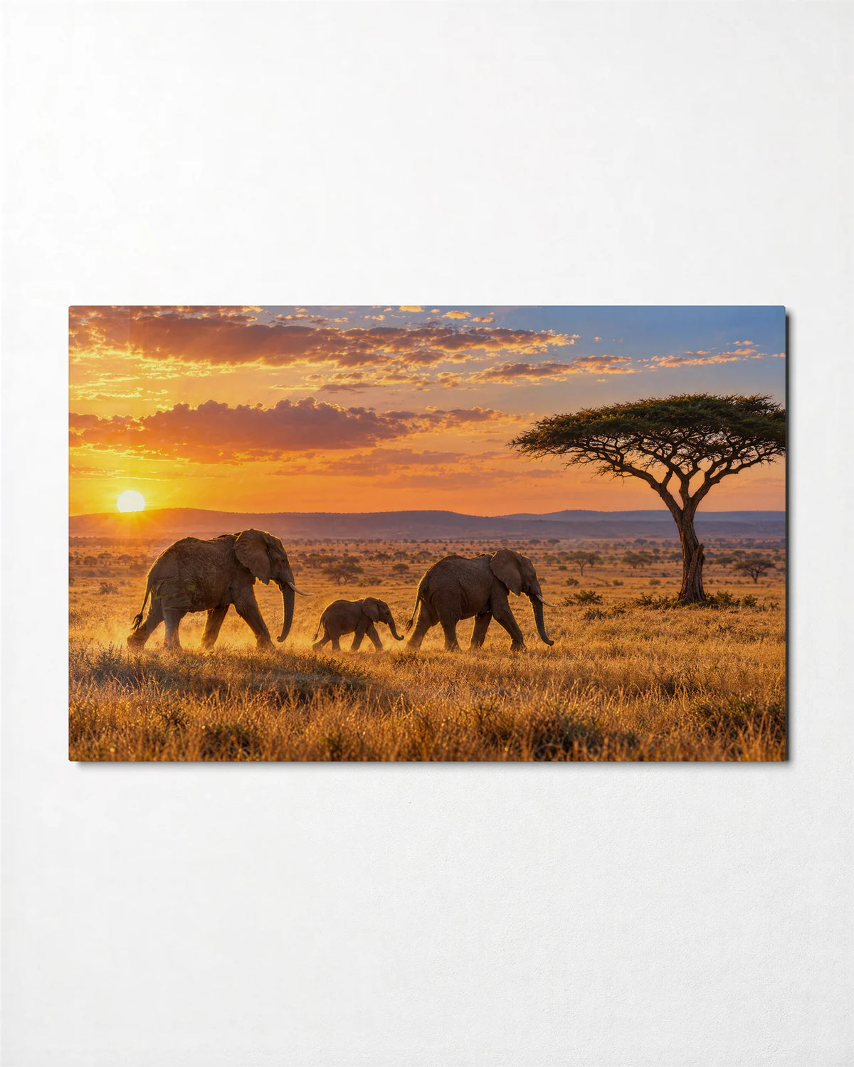 Elephants at Golden Hour — front view of glass wall art