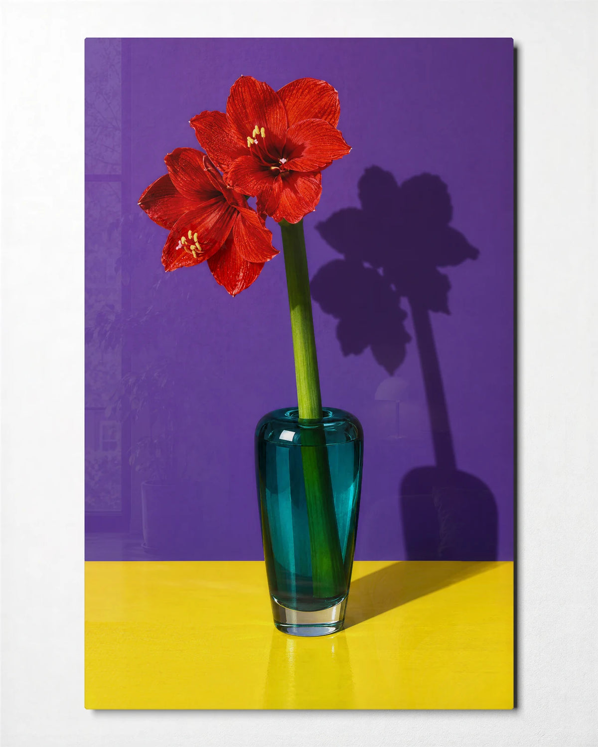 Amaryllis Colour Block — front view of glass wall art