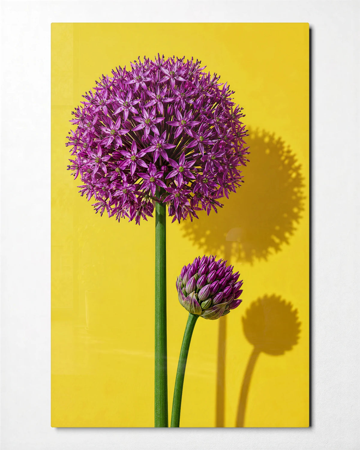 Allium on Lemon — front view of glass wall art