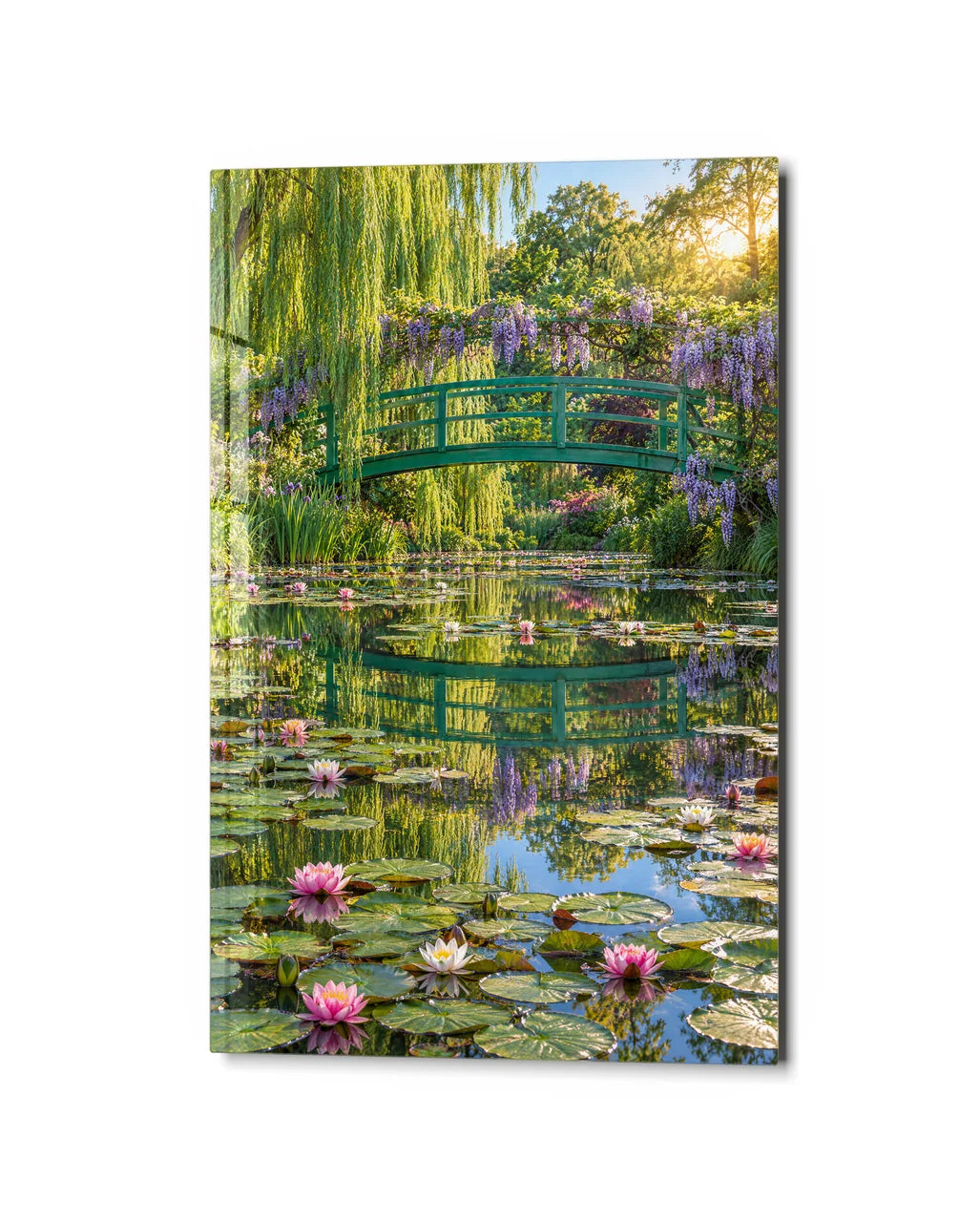 Green Bridge Over Lilies — studio view of glass wall art