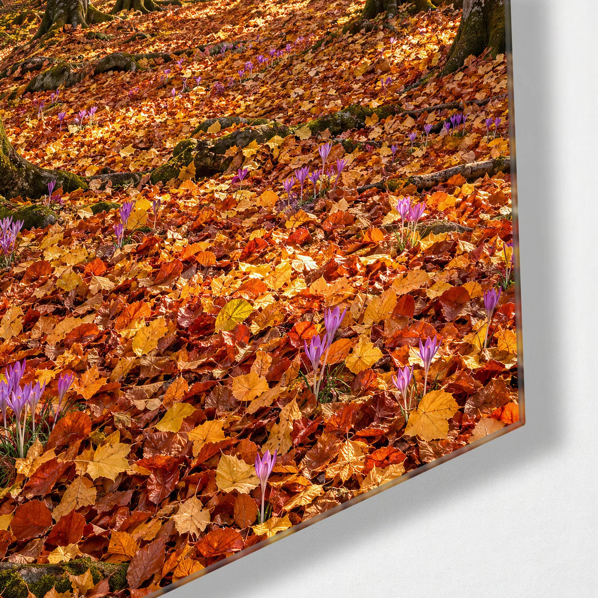 Golden Beech Forest — corner detail of glass wall art