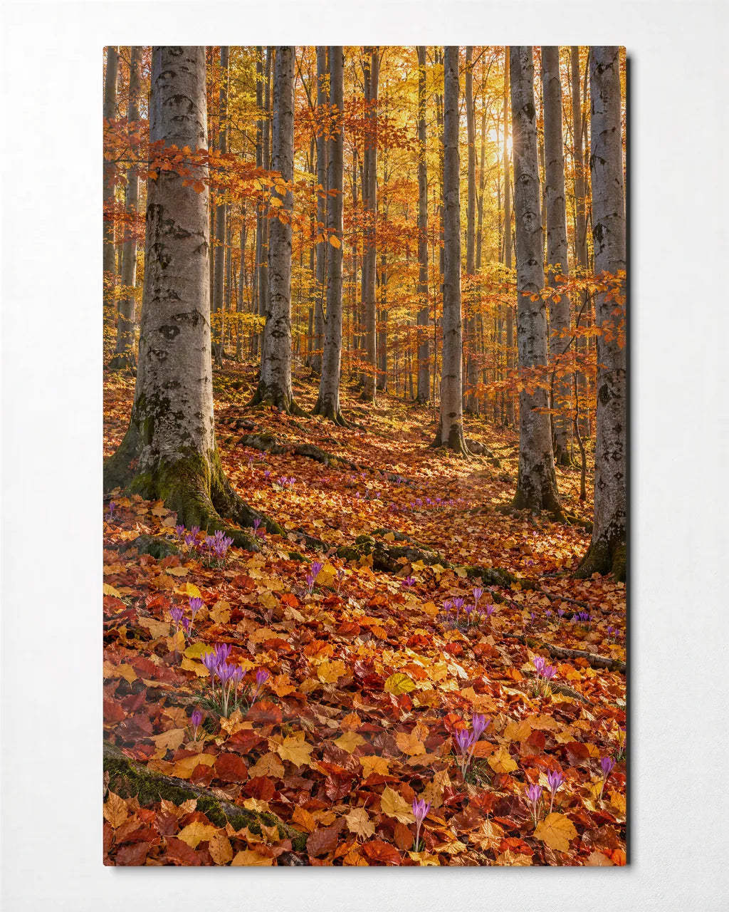 Golden Beech Forest — front view of glass wall art
