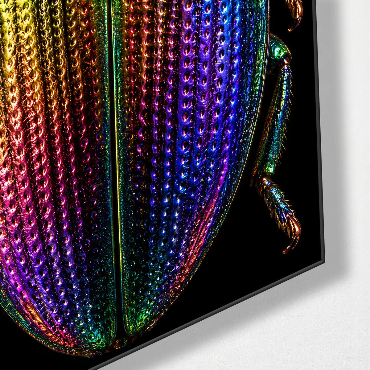 Jewel Beetle — corner detail of glass wall art