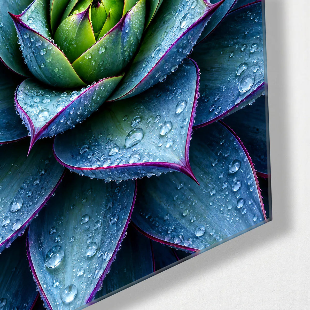 Agave After Rain — corner detail of glass wall art