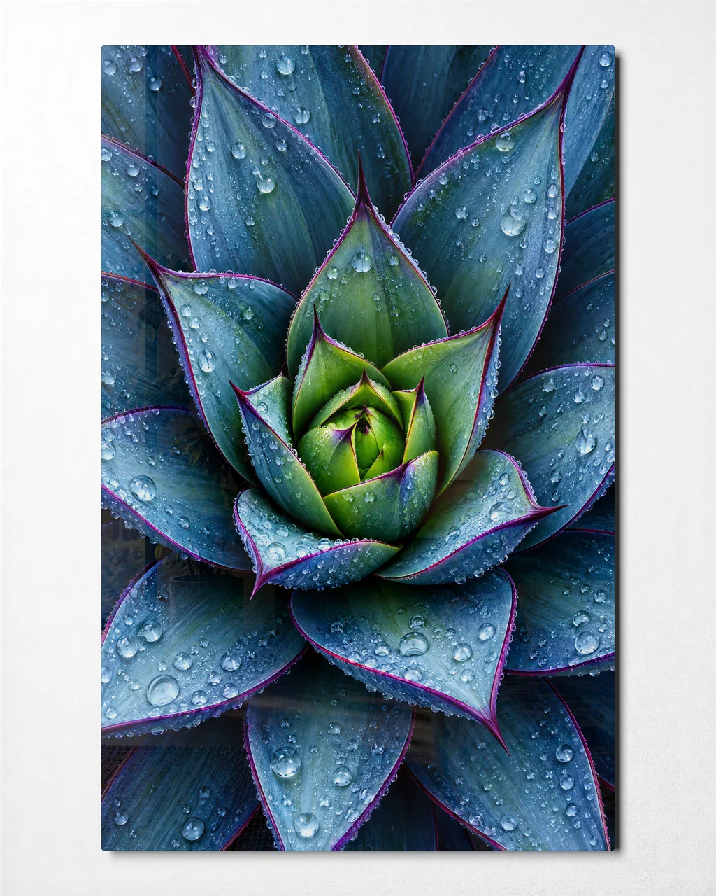 Agave After Rain — front view of glass wall art
