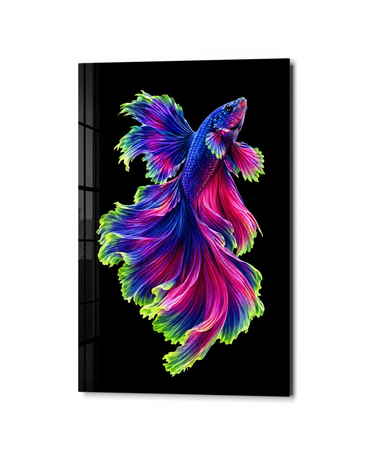 Betta in Bloom — studio view of glass wall art