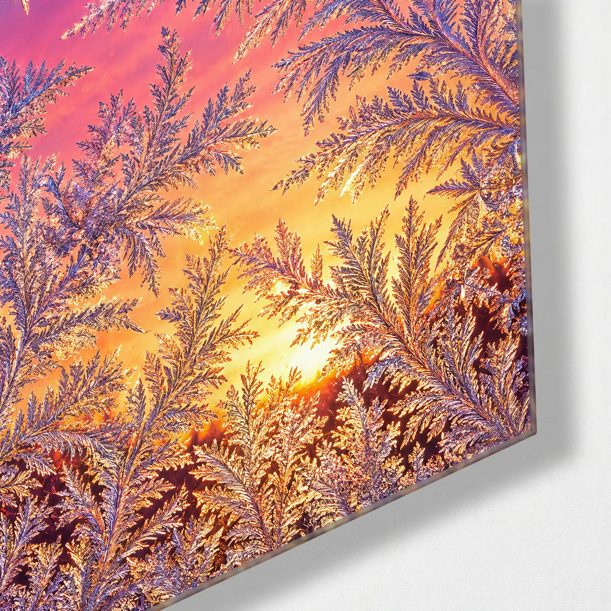 Frost Ferns at Sunrise — corner detail of glass wall art