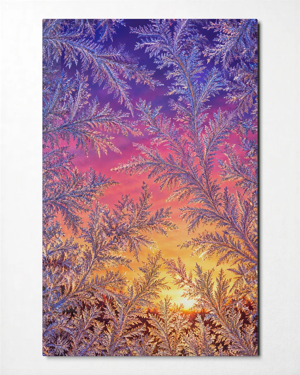 Frost Ferns at Sunrise — front view of glass wall art