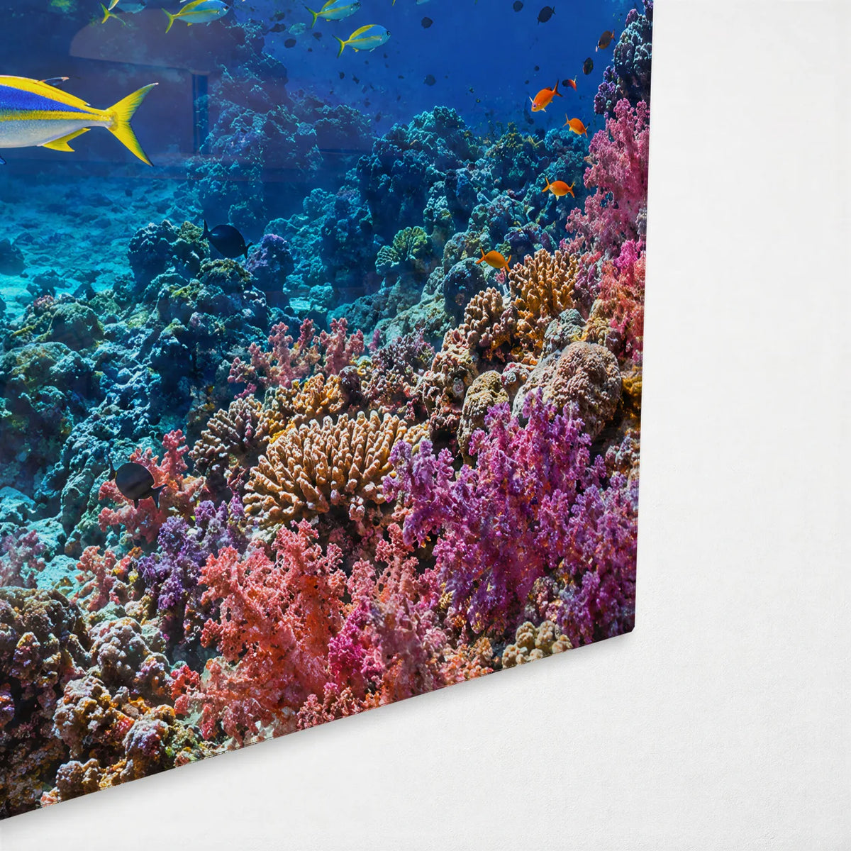 Yellow School on the Reef — corner detail of glass wall art