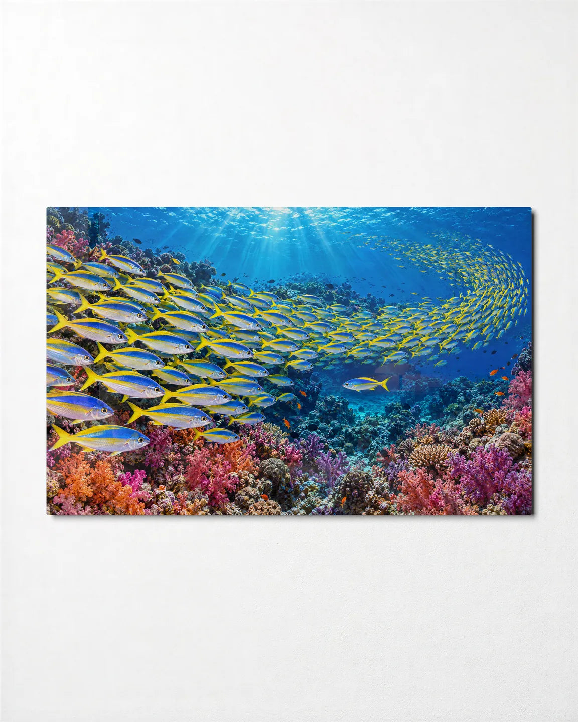 Yellow School on the Reef — front view of glass wall art