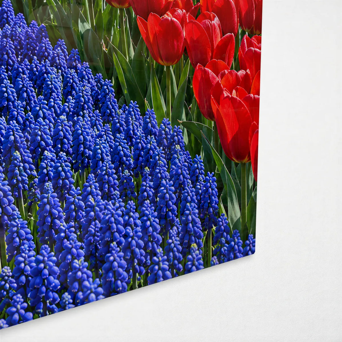 River of Hyacinths — corner detail of glass wall art