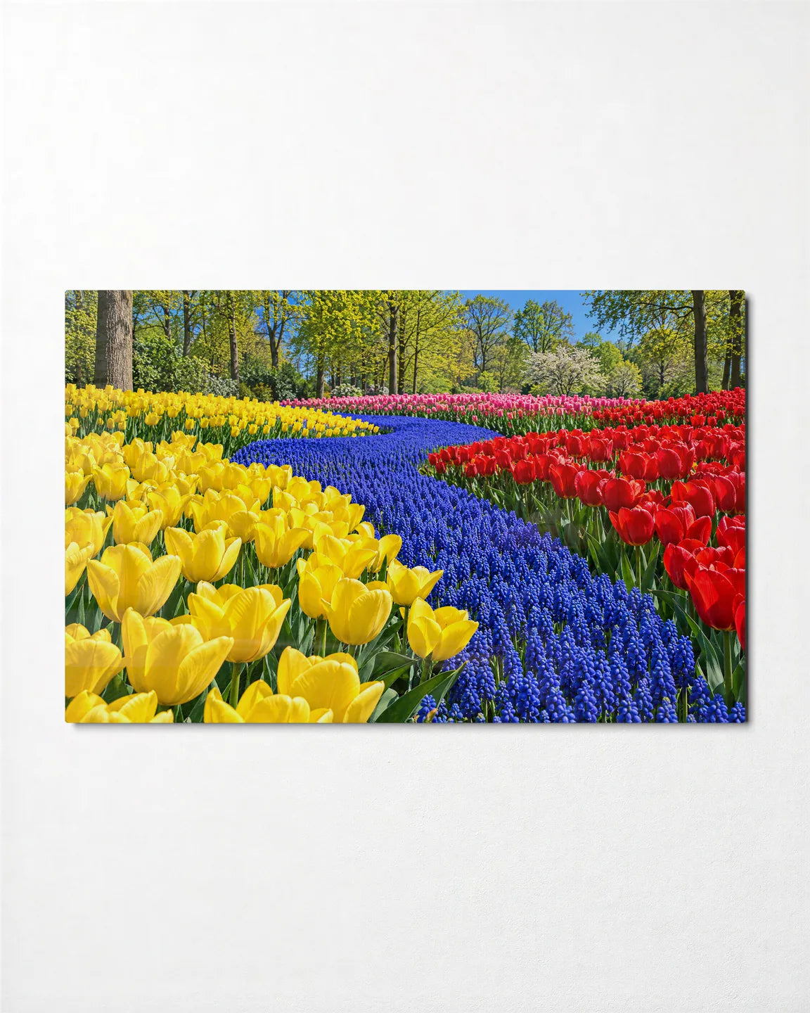 River of Hyacinths — front view of glass wall art